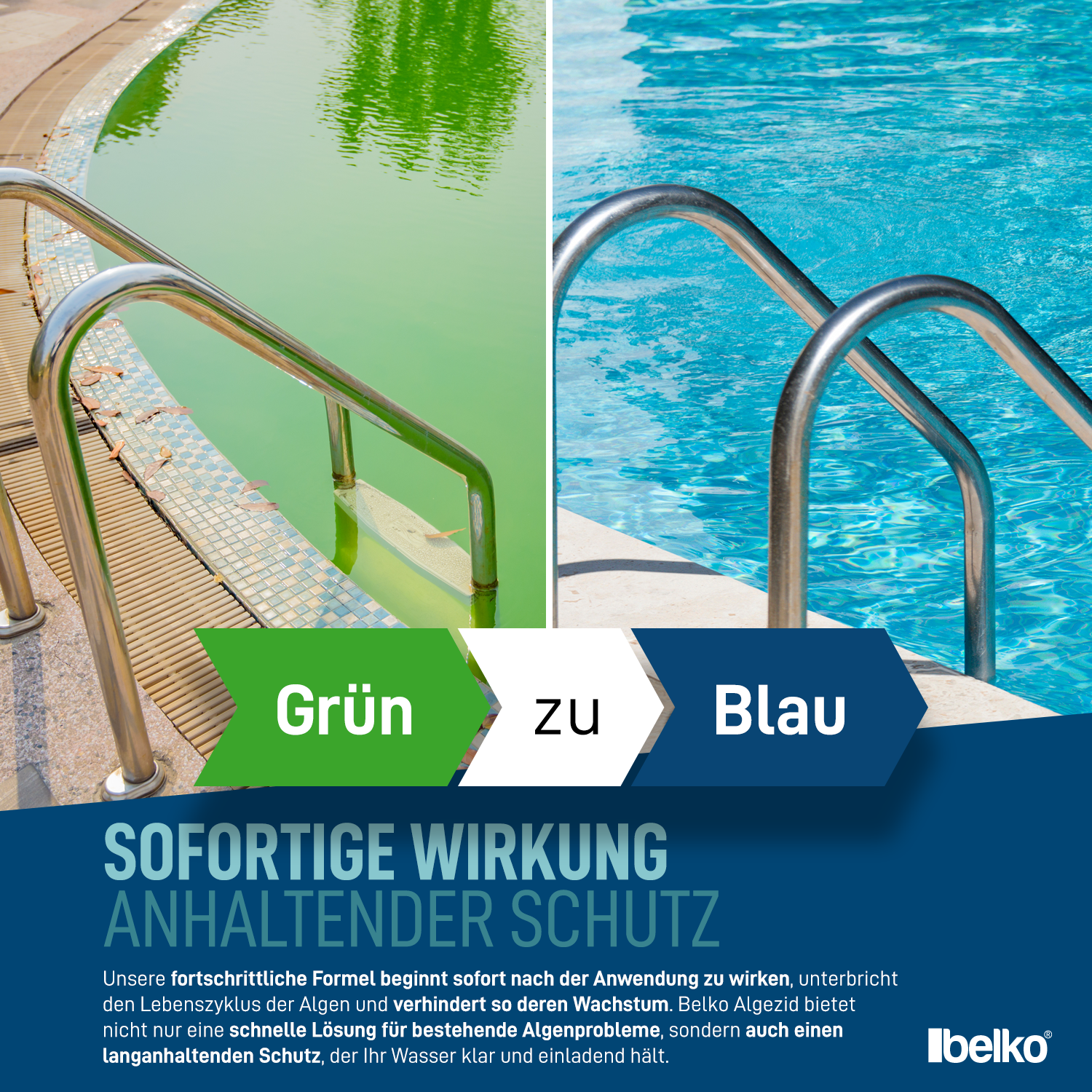 Belko® 5L Algizid Algenverhütung Anti - flüssig Algenmittel Pool Schwimmbad ohne Chlor