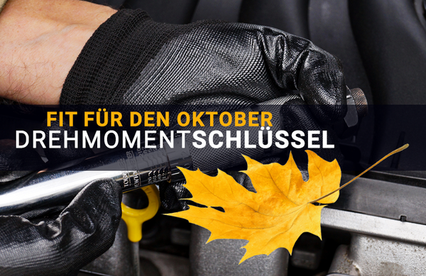 Drehmomentschlüssel günstig Online kaufen